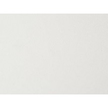 Стеновая панель HPL пластик ALPHALUX белый шагрень A001TF, МДФ, 4200*6*600 мм